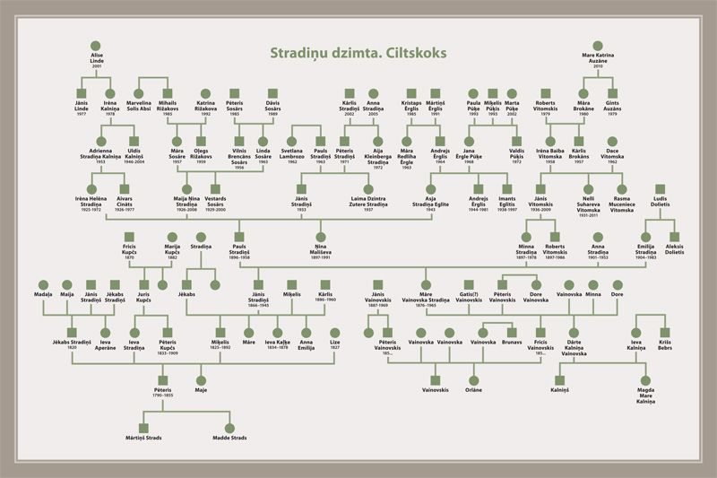 Stradinu_dzimtas_koks-RSU.jpg