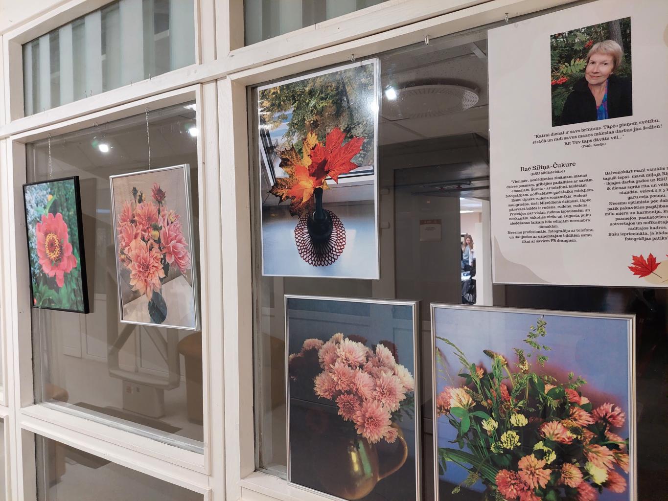 ilze_silina_cukure_foto_izstade.jpg
