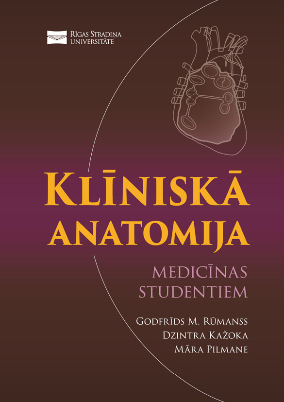 kliniska_anatomija_cvr.png