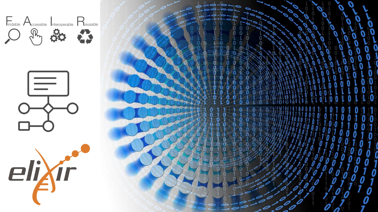 launch_of_elixir_rna_data_focus_group.png