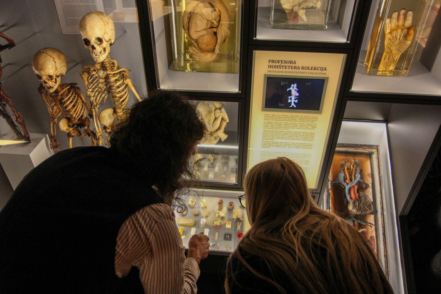 rsu_anatomijas_muzejs03-lead.jpg