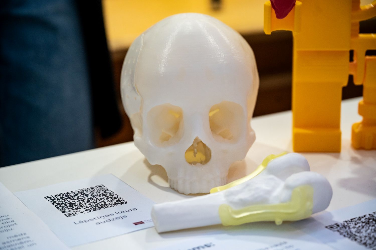 Zinātnieku nakts RSU. 3D galvaskauss un kauli