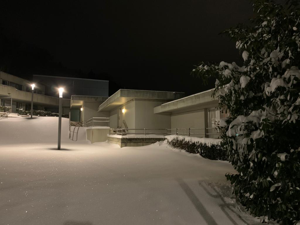 zif-in-snow-by-night.png