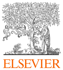 elsevier.png