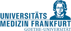 ums_frankfurt.png