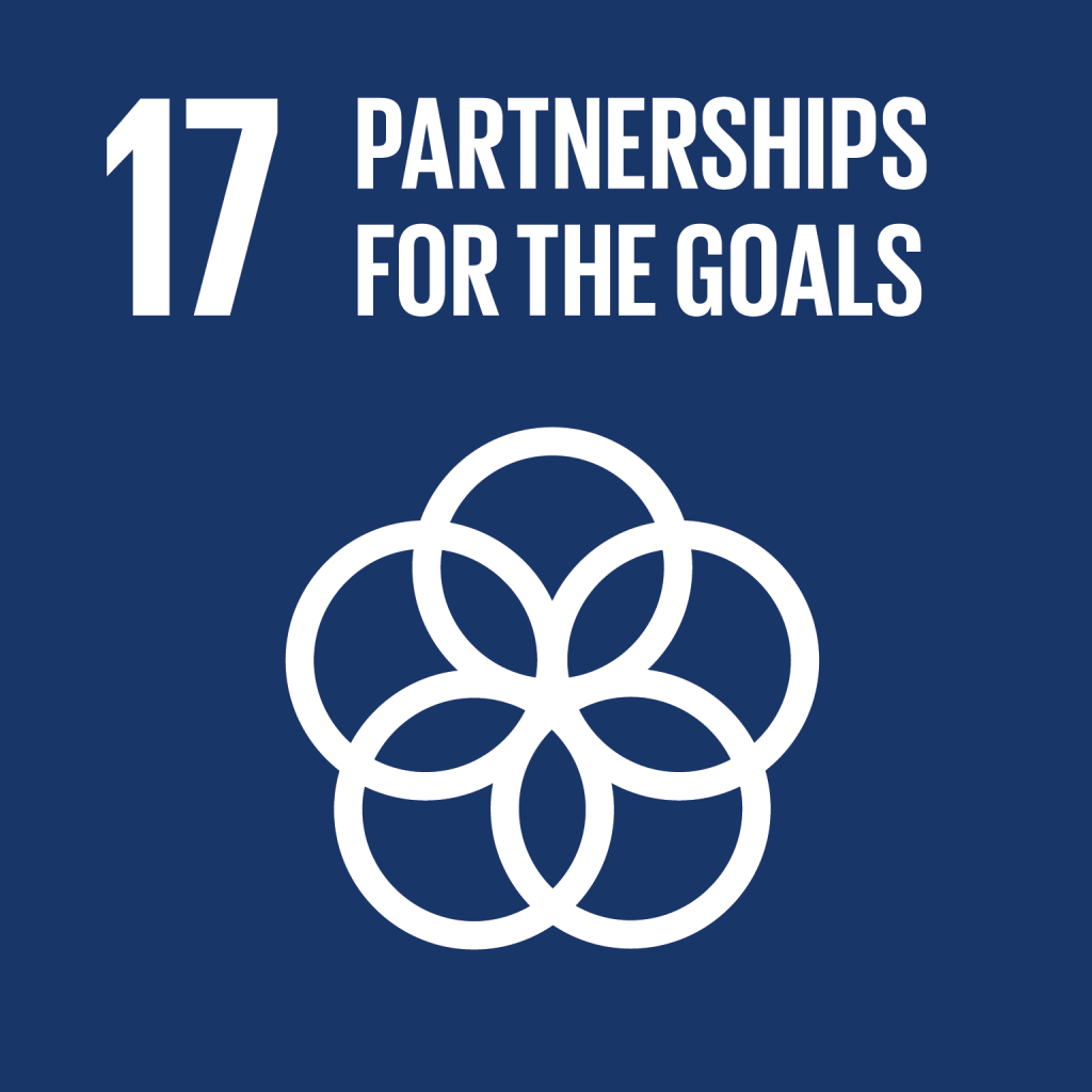 sustainable_development_goal_17.png