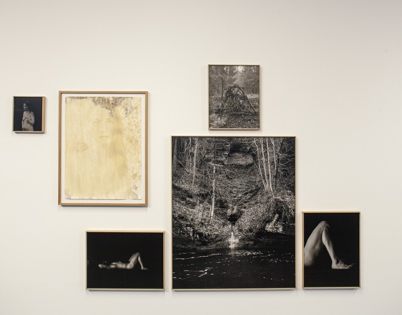 Exhibition wall displaying six artworks, including black-and-white photographs of a forest landscape and human figures.