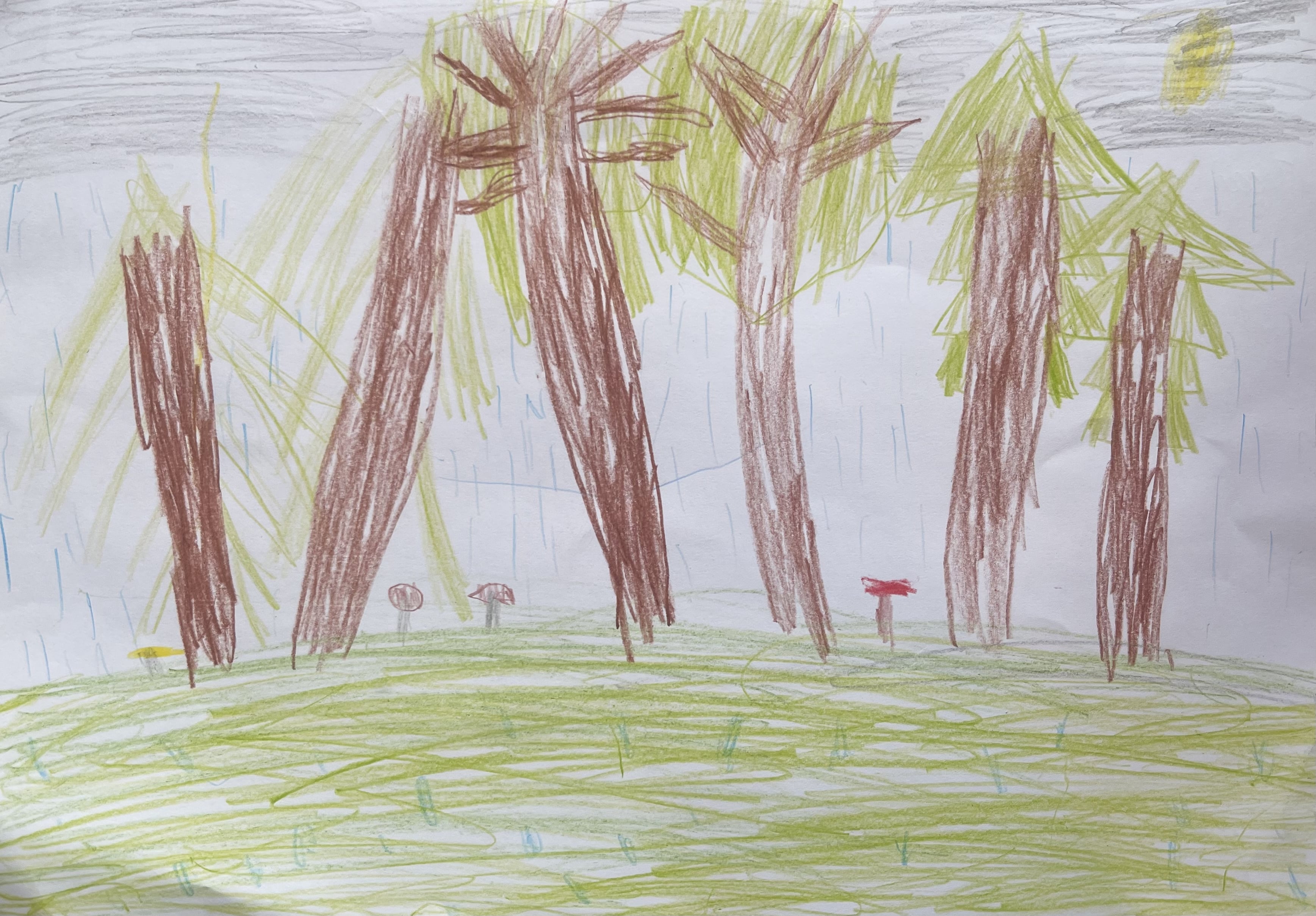 zīmējums, mežs, sēņošana