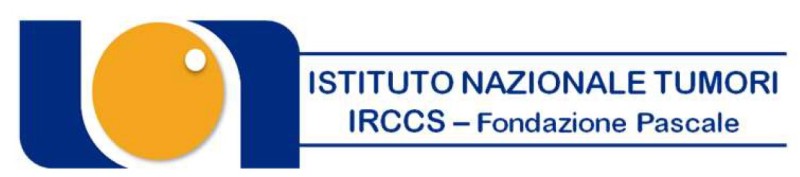 Istituto Nazionale Tumori IRCCS Fondazione logo