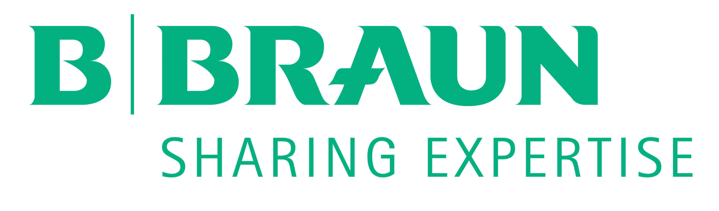 rsu-braun-logo_0.gif