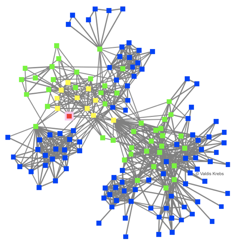 Frequent Symmetric Work Ties in a Technology Business
