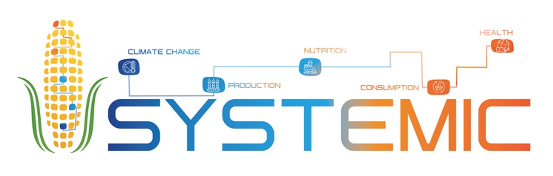 systemic_logo.jpg