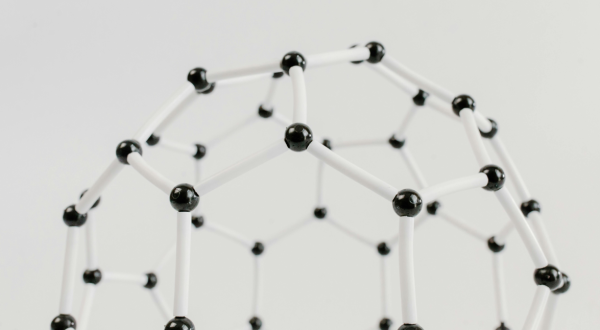 Invitation to the Workshop on the Molecular Mechanisms of Cancer