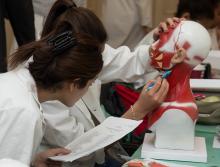 RSU atkārtoti aicina VM palielināt budžeta vietu skaitu studijām medicīnā, māszinībās un rezidentūrā