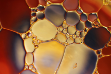 RSU to hold Baltic Flow Cytometry Society conference this month