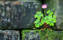 Digital and green innovations for student wellbeing and sustainability