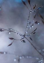 Newly published book on loneliness available online