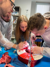 Aizvadīts kardioķirurģijas darbseminārs Medicīnas fakultātes studentiem