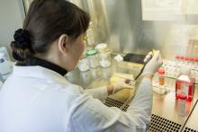 Darba process pētnieciskā laboratorijā