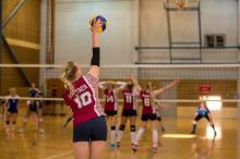 Volleyball