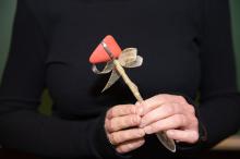 Noskaidroti neiroloģijas un neiroķirurģijas olimpiādes “Zelta āmuriņš 2019” uzvarētāji