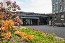 RSU ēka pavasarī rododendri