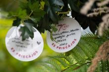 RSU rektora apsveikums augstskolas jubilejā