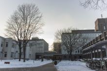 RSU ārvalstu studentu skaits aug, neraugoties uz pandēmiju