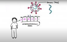 Animācijas filmu sērija: Paskaties uz koronavīrusu mikrobiologa acīm!