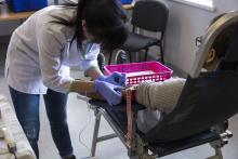 RSU Veselības diena