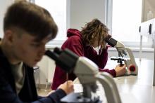 Septiņu skolu skolēni gatavosies Eiropas Eksperimentālo zinātņu olimpiādes finālposmam