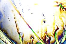 Researching psychedelics