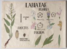 New exhibition by RSU History Museum displayed in glass cases by the Great Hall 