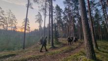 Members of the National Guard in the forest