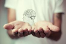  smadzenes_shutterstock