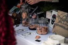 RSU Anatomy Museum invites visitors to unusual and creative Market Day