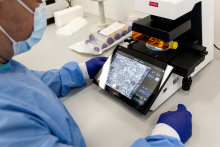 The Cell and Tissue Culture Laboratory expands and implements significant research projects