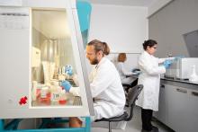 RSU Mikrobioloģijas un virusoloģijas institūts 